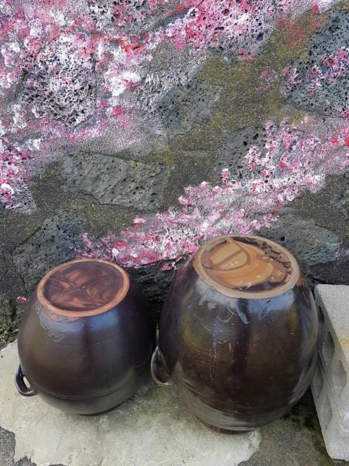 Hadori Mindfulness Villa Jeju Exterior foto